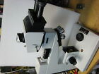 020-501.015 Leitz Ergolux Amc Wetzlar