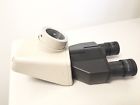 021659 Nikon Binocular Teaching Microscope Head