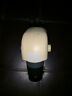 10446293 Leica Zoom Microscope Head Eyepiece