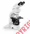 10446306 Leica Icca Video Camera For Dm L Series Microscopes 10446306 Leica Icca Video Camera For Dm L Series Microscopes