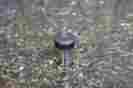 10xk Wild Heerbrugg 23mm Microscope Eyepiece Clean Optics Fast Free Shipping