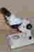 1256211 Fisher Scientific Stereomaster Microscope W Wf10x Eyepieces 8h