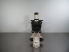12575250 Fisher Scientific Micromaster Inverted