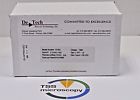 1316g Detector Technology Fei Fib
