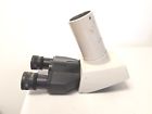 161513 Nikon Binocular Teaching Microscope Head