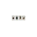 0502348 44408 Celestron Bug Specimen Kit 2