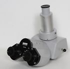 473028 Trinocular Zeiss Standard Gfl Wl