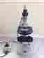 4759218 Inverted Zeiss Carl Phase Contrast Microscope