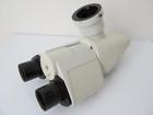 501500 Leica Hc Microscope Trinocular