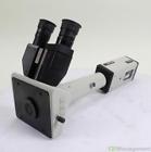 Je-7442 517306 Nikon Microscope Head Javelin Ultrachip Cctv Camera