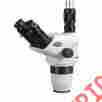 6.7x-45x Zm6745nt Amscope Trinocular Stereo Zoom Microscope Head With Focusable Eyepieces 608729746164