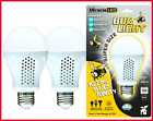 604004 Super Bug Light Yellow Free Shipping Source 738964413764