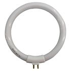 Nfs12wc 875356006514 Normande Lighting 12w