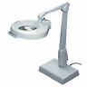 8mc200-wh Dazor Circline Illuminated Magnifier White