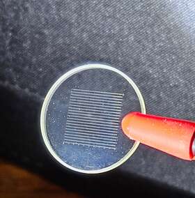 1409a American Optical Cat. Microscope Net Reticle 10mm Square Into 400 Squares