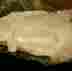 B-76 C-25 Unbranded Dove Prism 6 New
