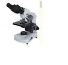 Bm-ls-1 Avenger Binocular Microscope For Schools Colleges Industrial