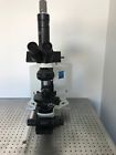 51wi Bx Olympus Upright Microscopy