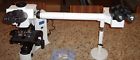 Bx41-tf Bx41tf Olympus Microscope Side By