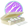 Dl-w03 Maxlapter Pcs Microscope Slides Prepared With Specimen For 696398106761