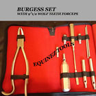 Equine Burgess Set Et Dental Horse Hand Crafted 760820263596