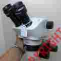 Ew10x Sx45 Vision Engineering Microscope 50x Holder W Pintail 22 Superb 170