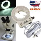 Gb1001665 Ts Oem Professional Led 737946995014