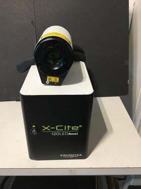 Xt120l-2353 Lumen Dynamics Xt120l Light Boost