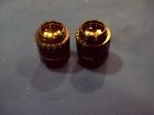 Microscope Wild 10x21 Eyepieces Leica Surgical