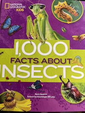 Bk-1000i National Geographic Kids Insects 1000 Facts About 96-page Hard Cover Book By