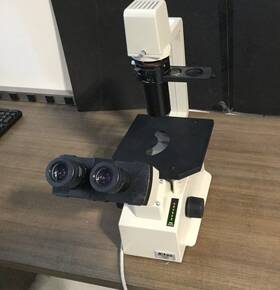 211687 Nikon Tms Inverted Phase Contrast Tissue Culture Microscope