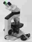 One-fifty Reichert Laboratory Microscope With Pointer Optic