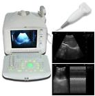 Rus-6000a Carejoy Portable Ultrasound Scanner Machine Linear Transducer Usb Port
