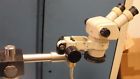 Smz1b Nikon Microscope With 10x
