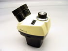 Stereozoom5 Leica Stereo Zoom Microscope