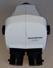 Sz61 Olympus Microscope Head