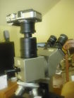 Tcaolympus1x Tucsen M4-3 Camera Adapter