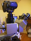 U-cmad3 Trinocular Olympus Ax Mx51 Bx41 4 Microscope Camera Nikon Cx Adapter