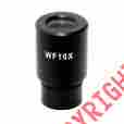 Ep10x23-s Wf10x Amscope One Microscope Eyepiece 23mm