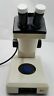 Z30v Leica Microscope
