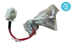 Siemens Bayer P/n 074-0088-03A Lamp Module. Fixed Price $79.00.