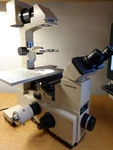 Olympus IMT-2 Inverted Microscope Stand Base With Binocular Head Stage W/light. Fixed Price $299.00.