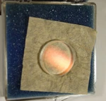 1" Round Cylinder Lens Ar 532NM Plcc Roc = 3" Continuum Ios 1064NM?. Fixed Price $29.00.