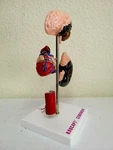 Desk Model Of Arterial Hypertension Pharmacy Hard Plastic. Original Box.. Fixed Price $110.00.