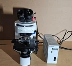 Olympus BX41 Fluorescence Microscope: Complete System In Excellent Condition. Fixed Price $3999.00.
