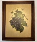 Three Mountaineers Wall Spice Rack & Herb Cabinet Vitis Vinifera Great Condition. Fixed Price $99.00.
