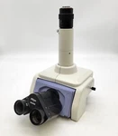 Nikon Microscope Eclipse E800 Trinocular Tilting Ergo Head With Camera Adapter. Fixed Price $649.00.