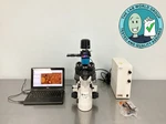 Nikon Eclipse TS100 Inverted Microscope With Warranty See Video. Fixed Price $3499.00.