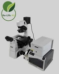 Nikon Fluxion Eclipse TI-S/L100 & Bioflux L200PBF 1000. Fixed Price $890.00.