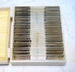 Prepared Microscope Set, Beginner Biology, 24 Slides, New!. Fixed Price $29.95.